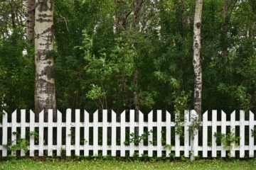 Diese Rechte haben Sie im eigenen Garten